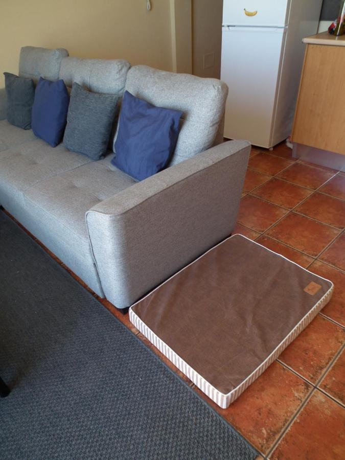 Frodo Haus Apartment Tazacorte Luaran gambar
